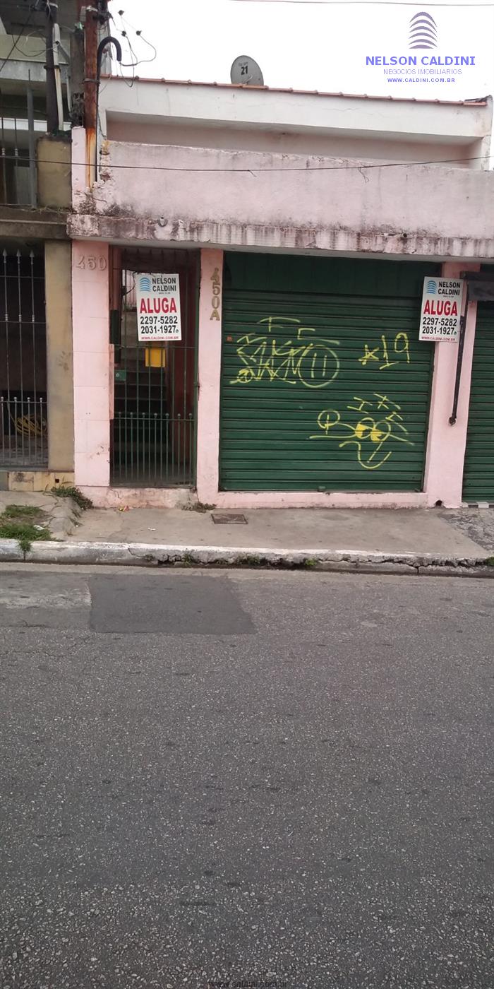 cat bai cid cat