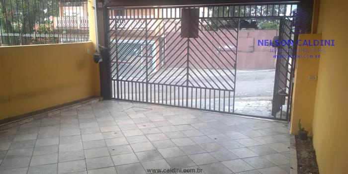 cat bai cid cat