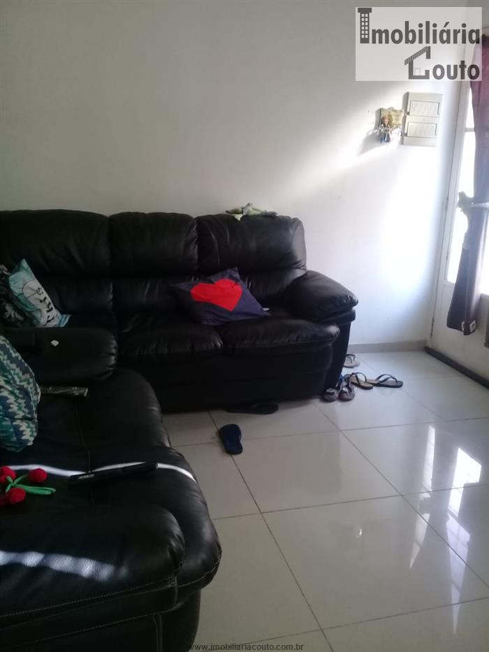 cat bai pro cat