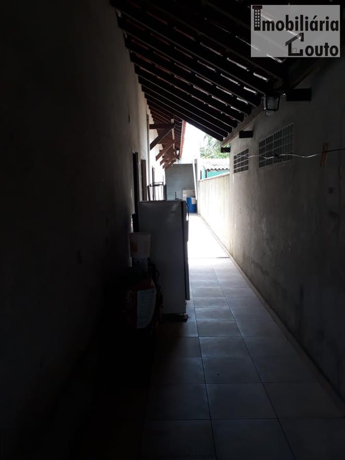 cat bai pro cat