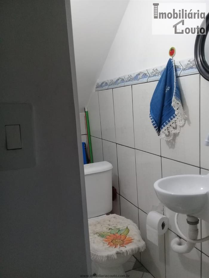 cat bai pro cat