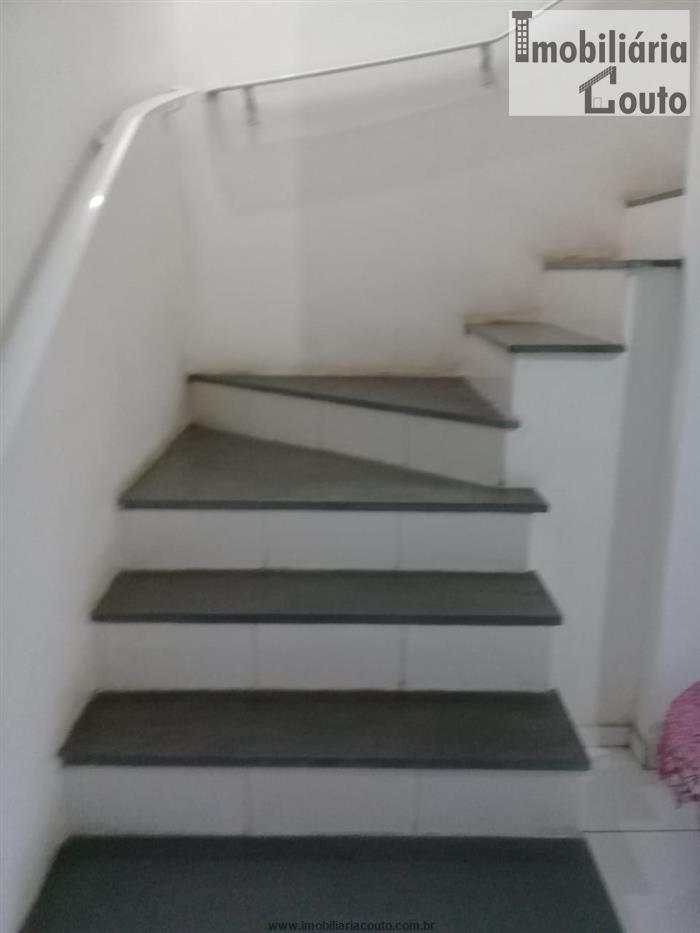 cat bai pro cat