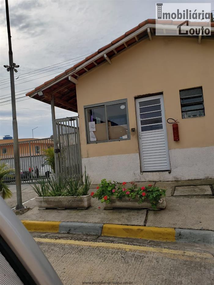 cat bai pro cat