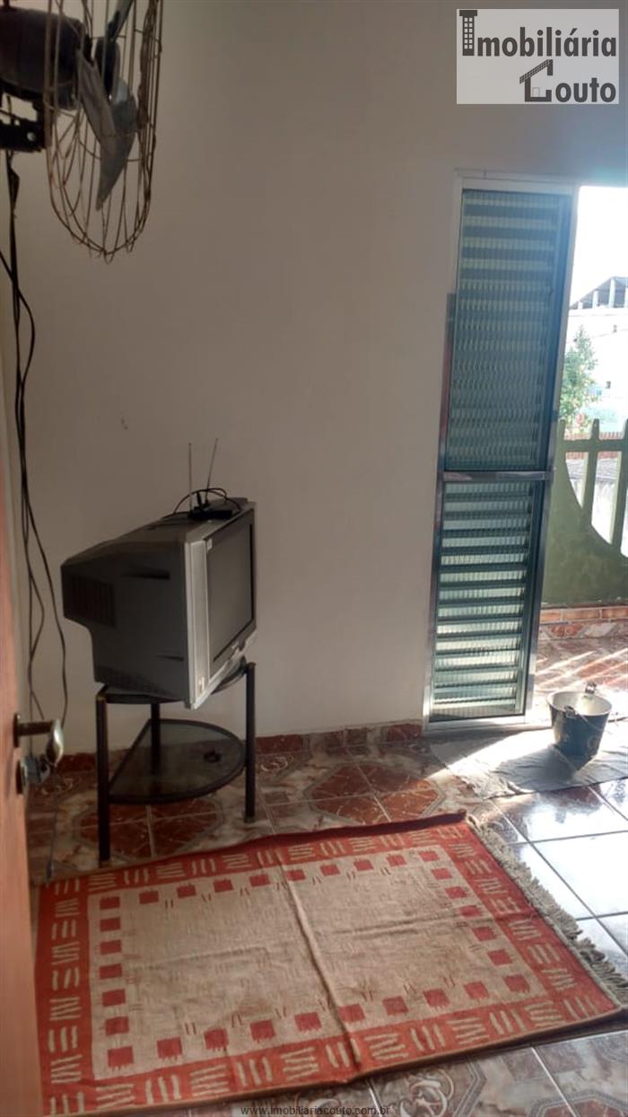 cat bai pro cat