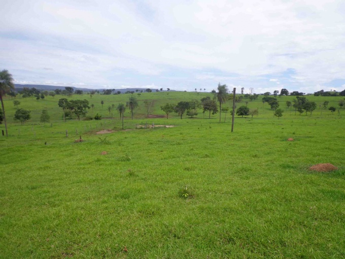 Fazenda em Barra do Garcas Centro R$ 3.500.000,00