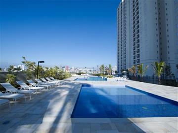 Start São Bernardo 1 e 2 dormitórios - 1430647 Start São Bernardo 1 e 2 dormitórios Jardim Olavo Bilac Grande oportunidade!