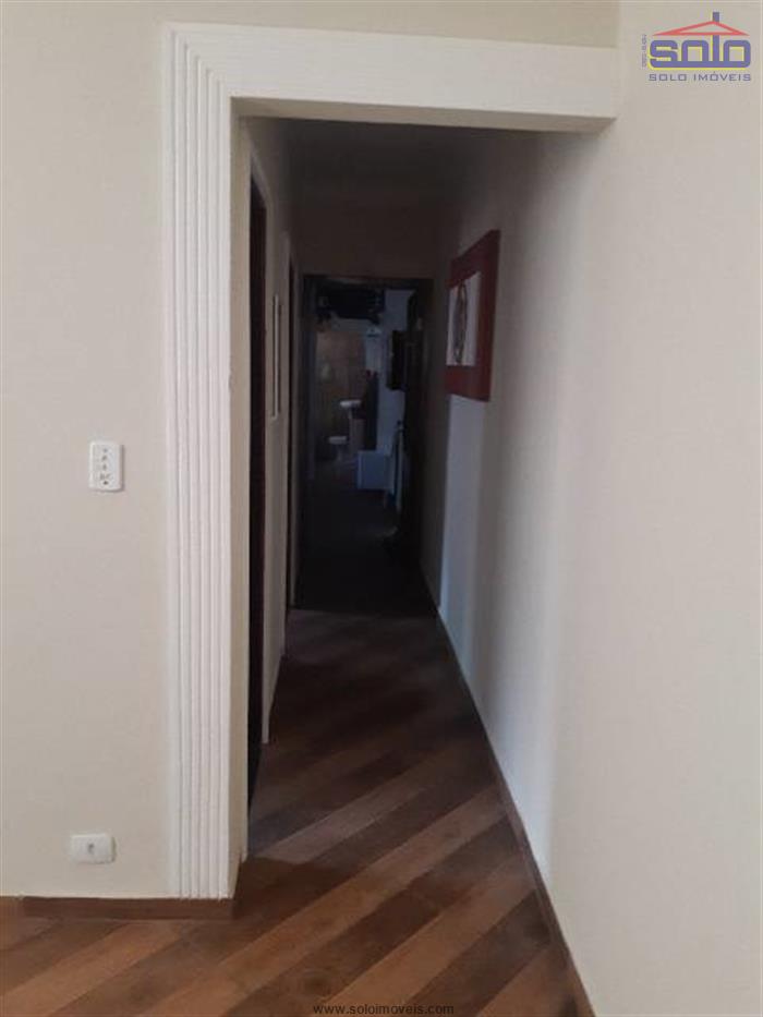 cat pro val cat