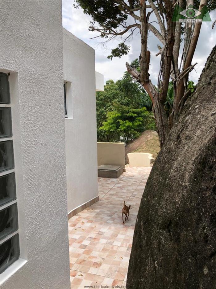 cat cid bai cat