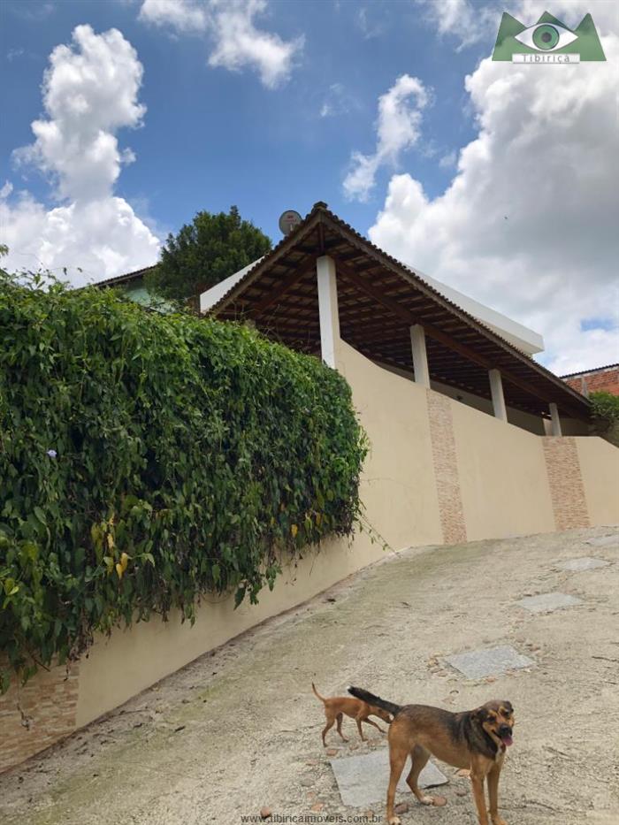 cat cid bai cat