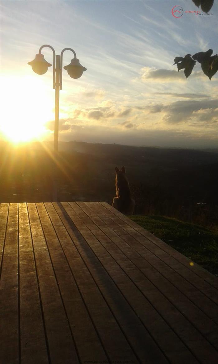 cat cid val cat