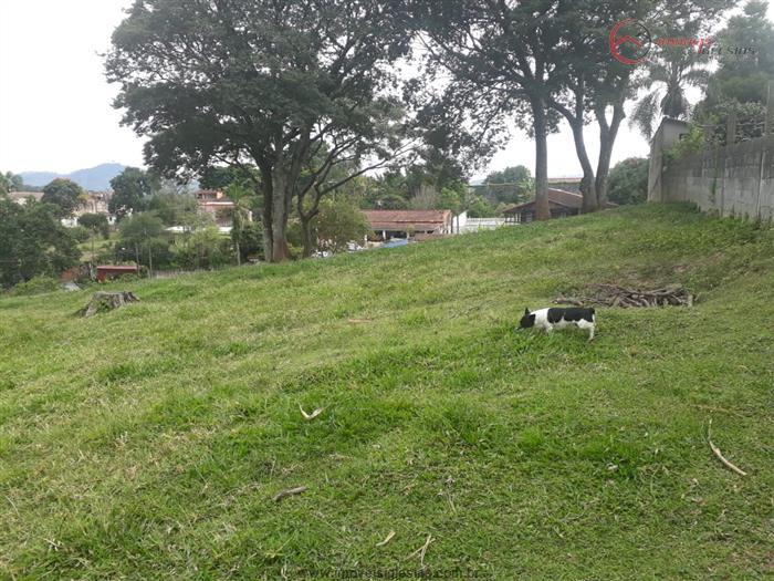 cat cid val cat
