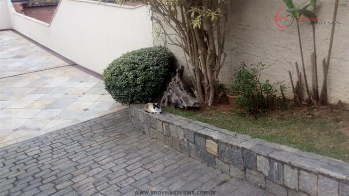 cat cid val cat