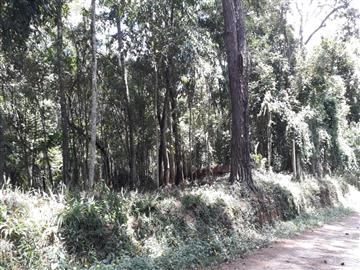 Terrenos em Loteamento Fechado - 1431669 Terrenos em Loteamento Fechado Mairiporã Jardim Cinco Lagos de Santa Maria