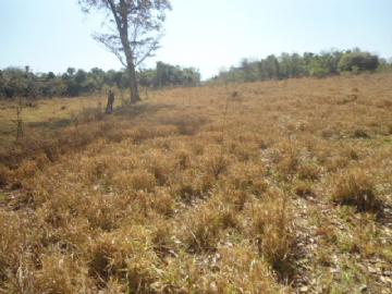 Chácara em Campo Grande Zona Rural Contate-nos para informações adicionais