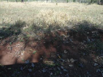 Chácara em Campo Grande Zona Rural Contate-nos para informações adicionais