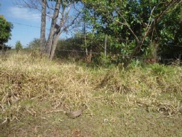 Chácara em Campo Grande Zona Rural Contate-nos para informações adicionais