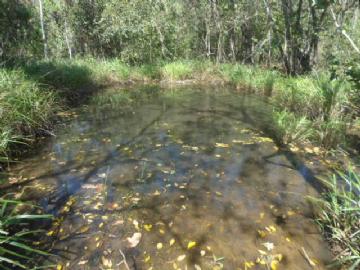 Chácara em Campo Grande Zona Rural Contate-nos para informações adicionais