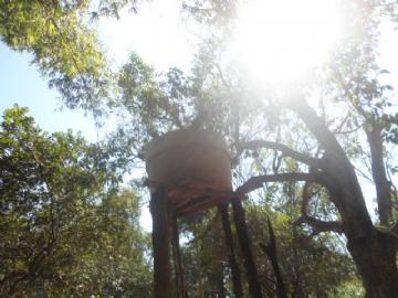 Chácara em Campo Grande Zona Rural Contate-nos para informações adicionais