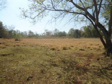 Chácara em Campo Grande Zona Rural Contate-nos para informações adicionais
