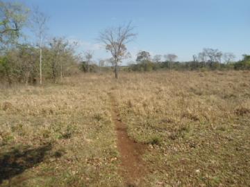 Chácara em Campo Grande Zona Rural Contate-nos para informações adicionais