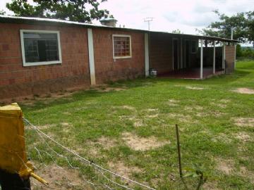 Fazenda em São Gabriel do Oeste Não Especificado R$ 4.000.000,00