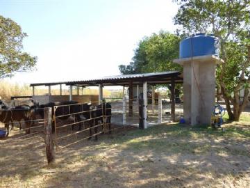 Fazenda em São Gabriel do Oeste Não Especificado R$ 4.000.000,00