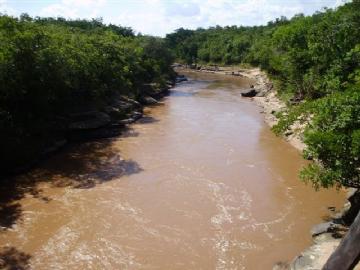 Fazenda em São Gabriel do Oeste Não Especificado R$ 4.000.000,00
