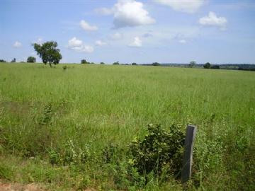 Fazenda em São Gabriel do Oeste Não Especificado R$ 4.000.000,00