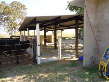 Fazenda em São Gabriel do Oeste Não Especificado R$ 4.000.000,00