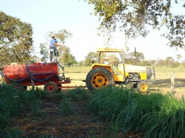 Fazenda em São Gabriel do Oeste Não Especificado R$ 4.000.000,00