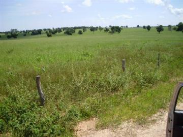 Fazenda em São Gabriel do Oeste Não Especificado R$ 4.000.000,00