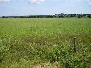 Fazenda em São Gabriel do Oeste Não Especificado R$ 4.000.000,00