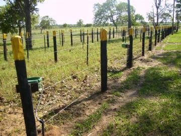 Fazenda em São Gabriel do Oeste Não Especificado R$ 4.000.000,00