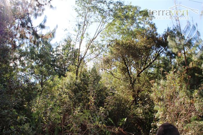 Monte Verde | Terrenos em Jardim das Montanhas