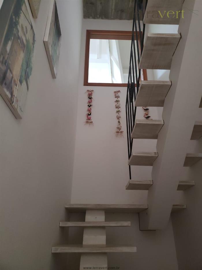 cat cid pro cat