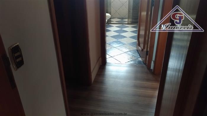 cat pro bai cat