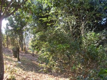 Chácara em Franco da Rocha Jardim Luciana R$ 300.000,00