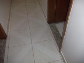 Chácara em Botucatu Chácara Recreio Vista Alegre 2 dormitórios R$ 550.000,00