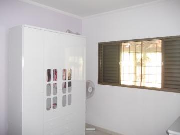 Chácara em Botucatu Chácara Recreio Vista Alegre 2 dormitórios R$ 550.000,00