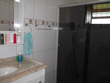 Chácara em Botucatu Chácara Recreio Vista Alegre 2 dormitórios R$ 550.000,00