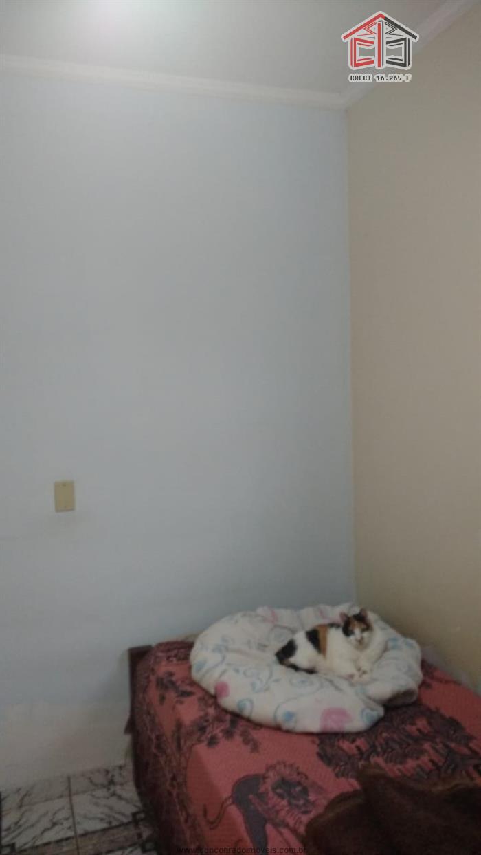 cat bai val cat